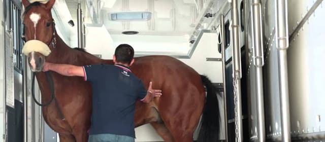 A utilização dos pisos de borracha para o transporte de animais